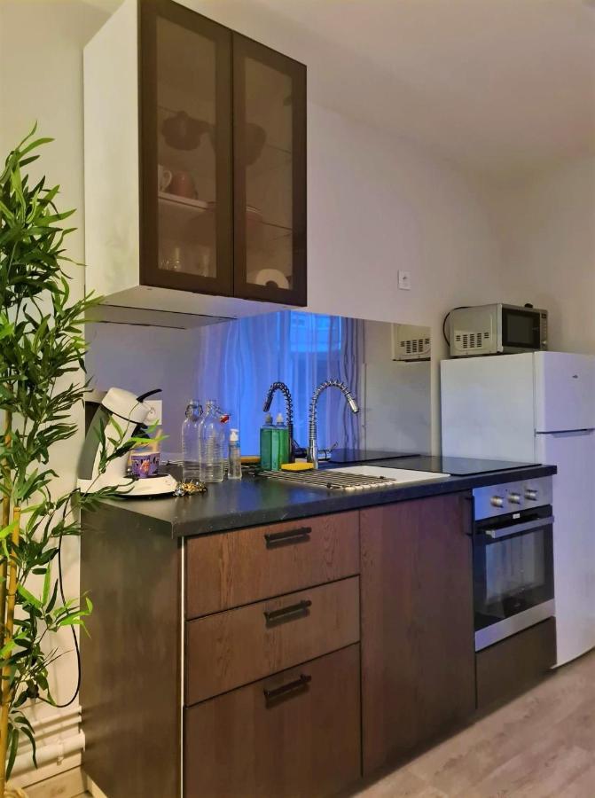 Grand Studio Lyon Villeurbanne Proche Metro - Wifi Esterno foto